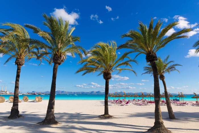 Muro beach platja alcudia mallorca majorca stock bay lunamarina depositphotos